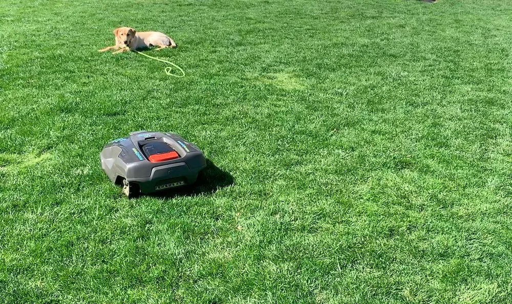 Top-rated garden landscaping near you across Hartford, CT - Nature Joys