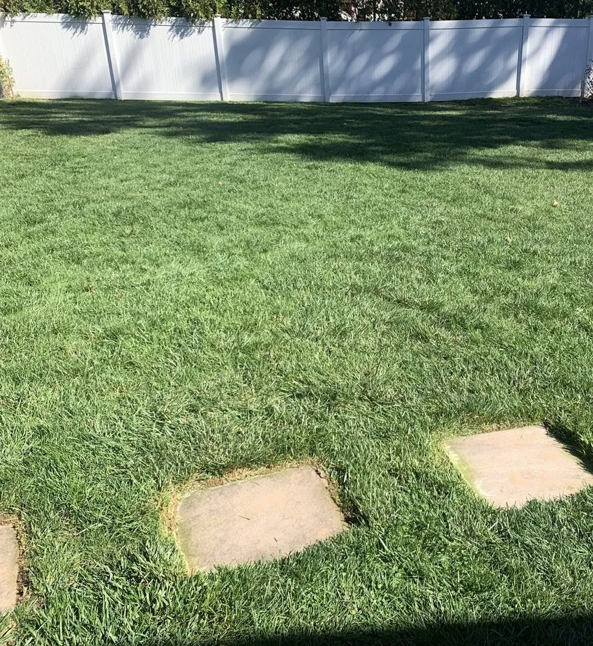 Reliable lawn mowing service with custom design in Hartford, CT by Nature Joys