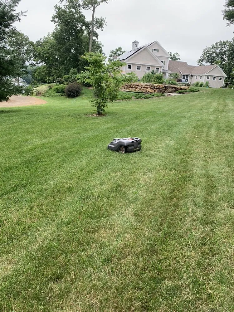 Local landscape installation in Hartford, CT by Nature Joys