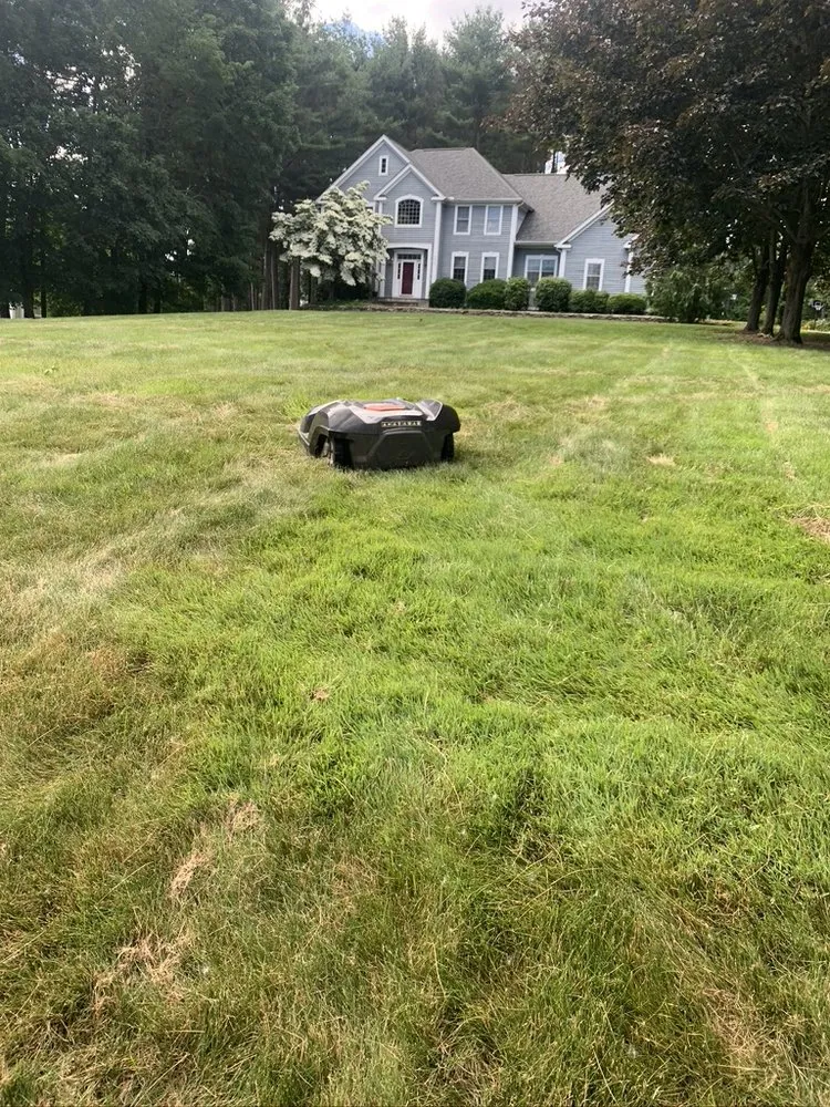 Expert yard cleanup service in Hartford, CT - Nature Joys