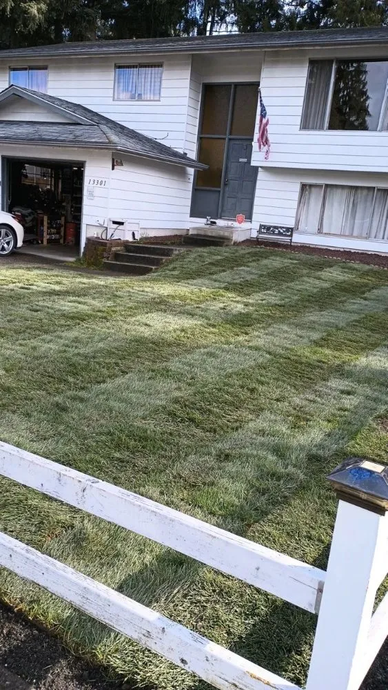 Expert landscaping services for beautiful yards across Everett, WA - Nature Landscaping Maintenance