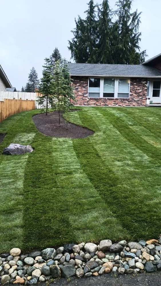 Affordable lawn care service in Everett, WA - Nature Landscaping Maintenance