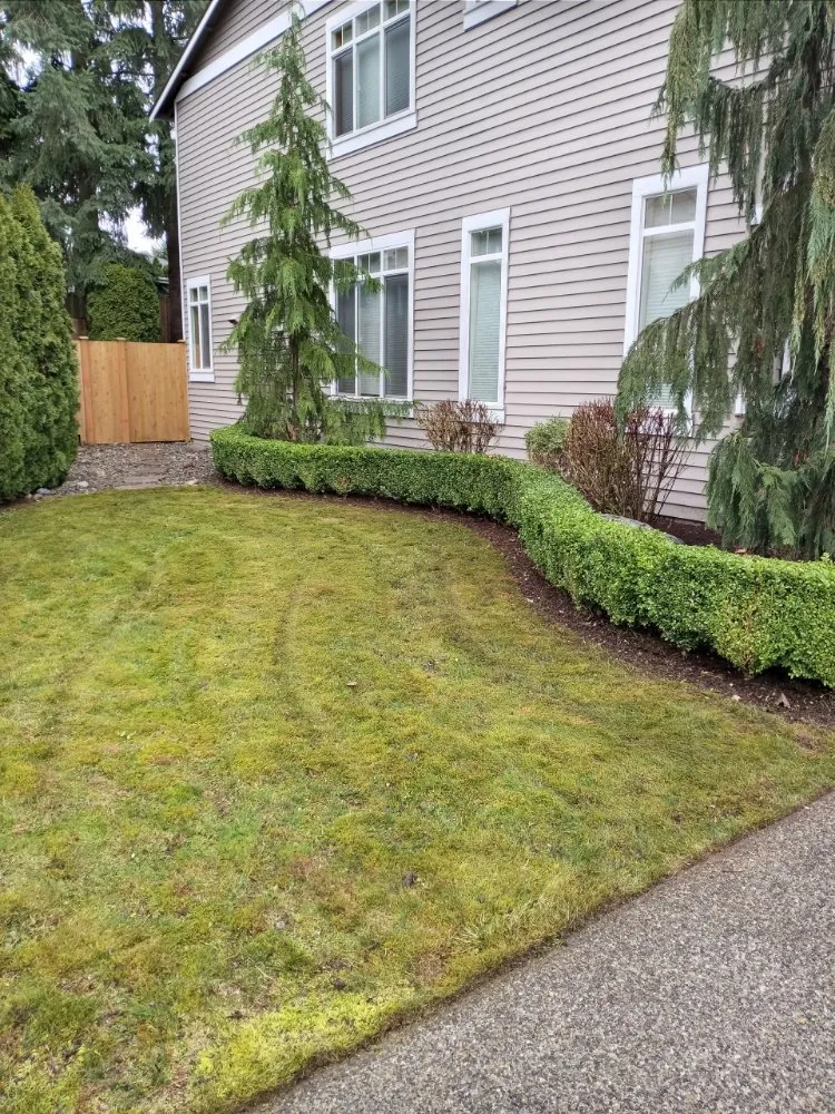 Expert garden landscaping in Everett, WA - Nature Landscaping Maintenance