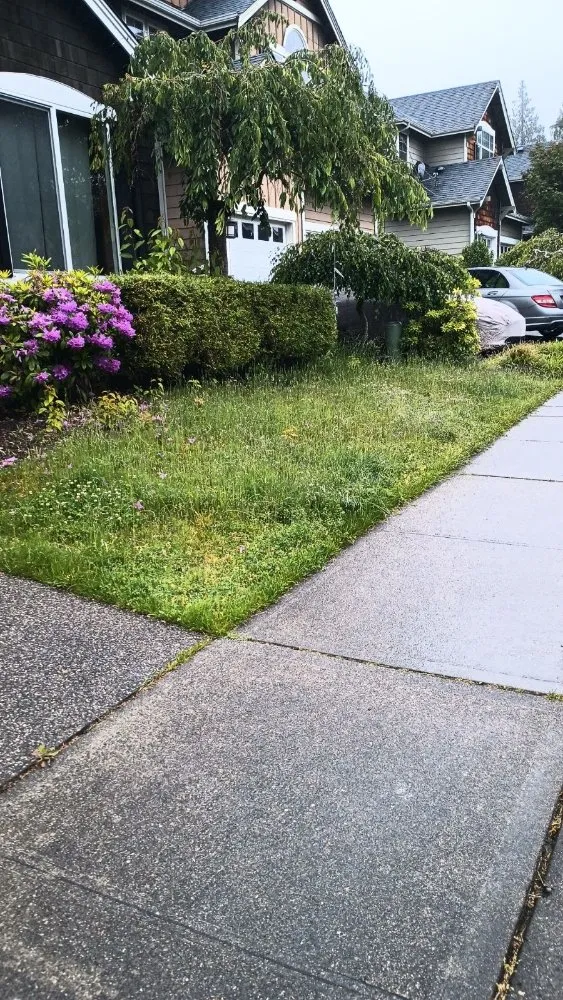 Top-rated yard cleanup service for beautiful yards in Everett, WA by Nature Landscaping Maintenance