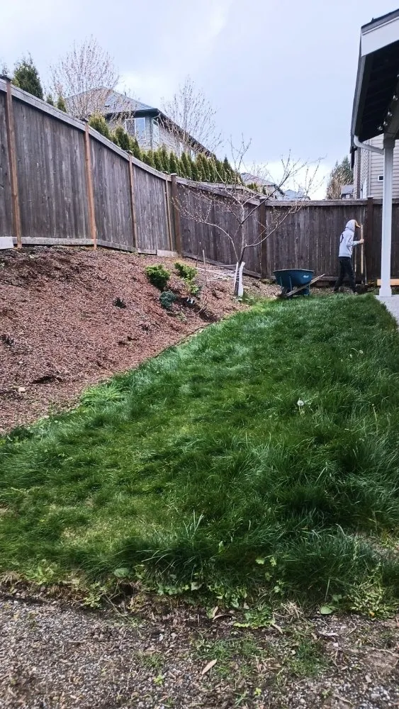 Local lawn mowing service in Everett, WA - Nature Landscaping Maintenance