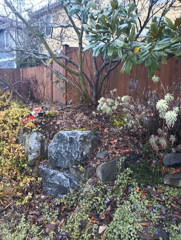 Reliable lawn care service for homes across Everett, WA - Nature Landscaping Maintenance