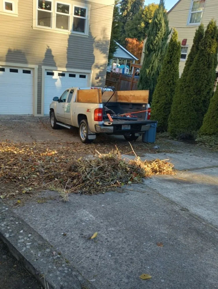 Affordable outdoor landscaping for year-round maintenance across Everett, WA - Nature Landscaping Maintenance