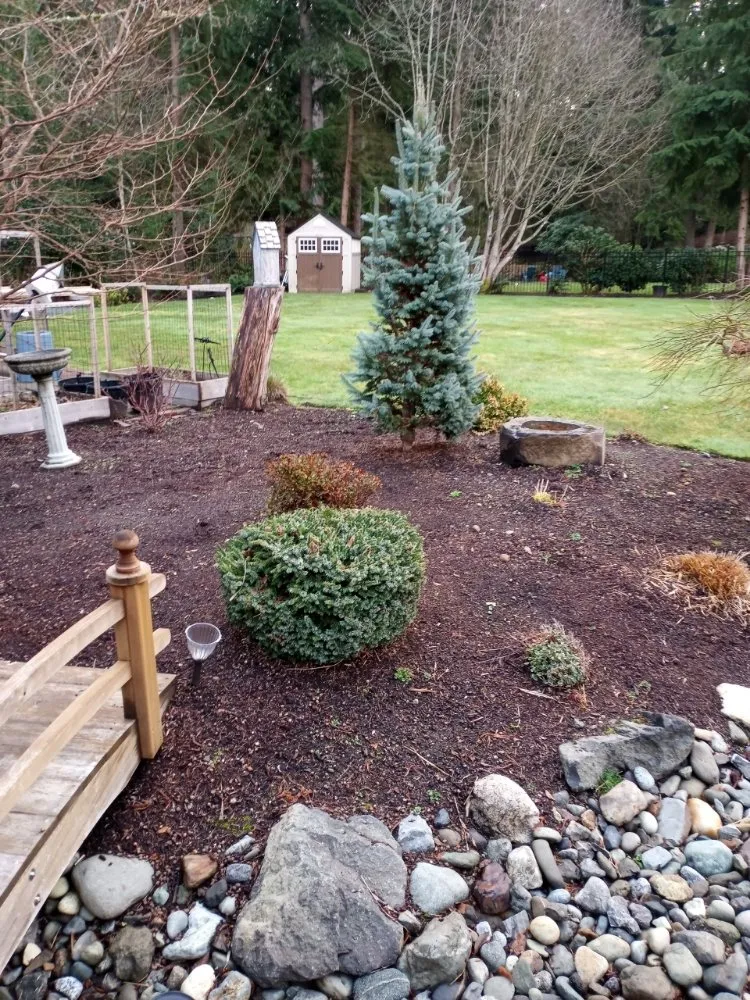 Local outdoor landscaping for beautiful yards across Everett, WA - Nature Landscaping Maintenance