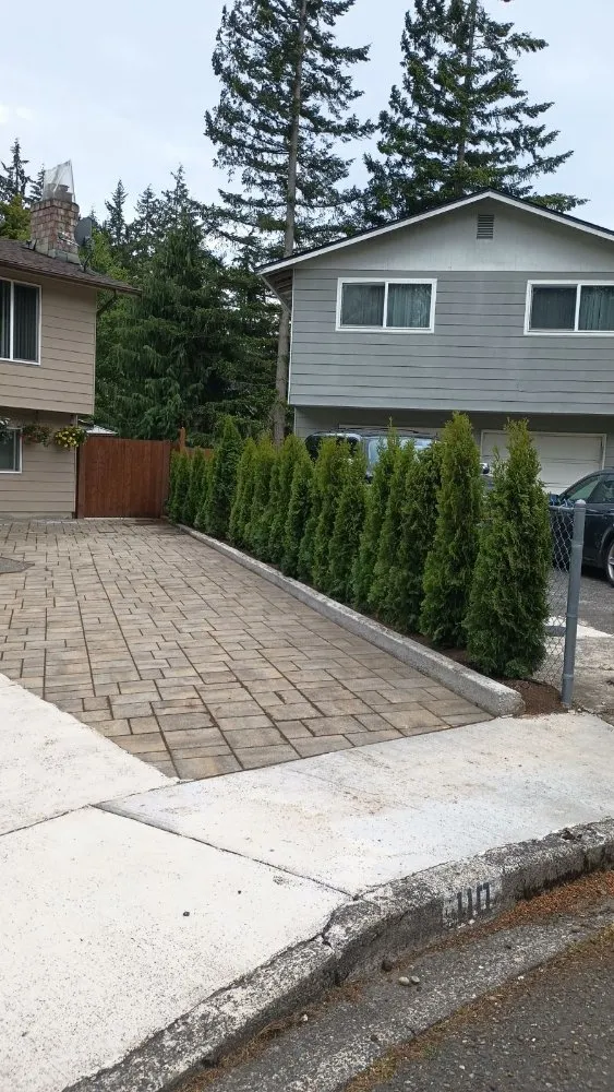 Custom landscape design for year-round maintenance in Everett, WA by Nature Landscaping Maintenance