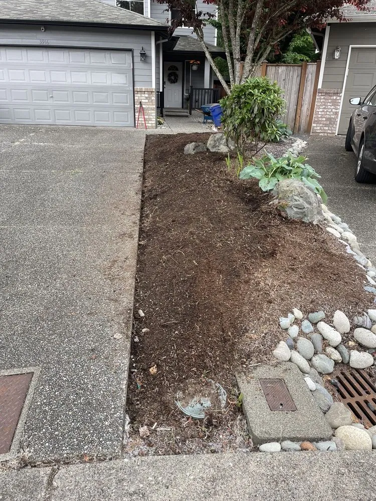 Custom lawn mowing service in Everett, WA by Nature Landscaping Maintenance