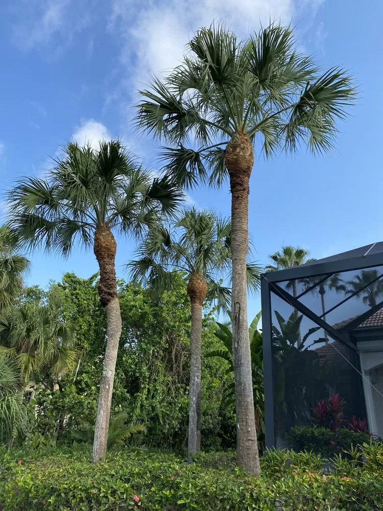 Top-rated outdoor landscaping with custom design across Bonita Springs, FL - Nature Landscaping of Swfl