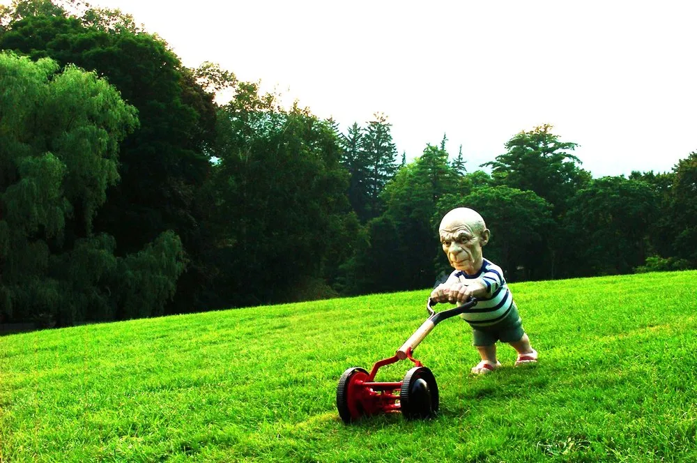 Custom yard cleanup service in Toledo, OH - Nature lawn care and Tree service