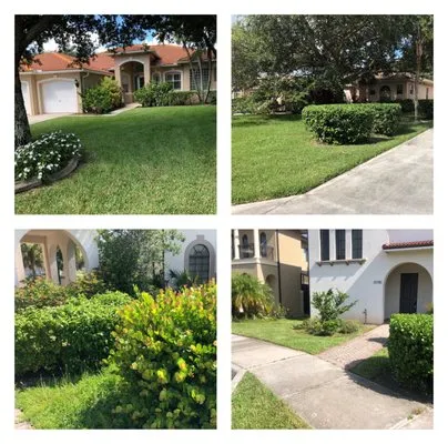 Nature Lawn Care Logo