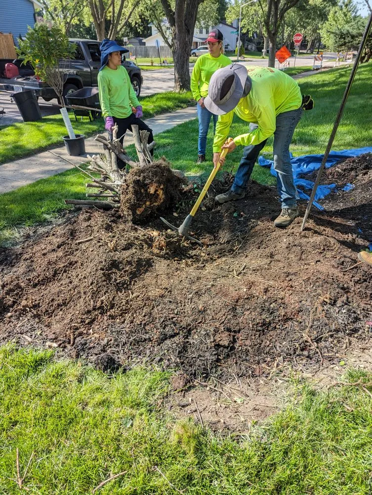 Professional landscape design for outdoor upgrades across Joliet, IL - Nature Life Landscaping