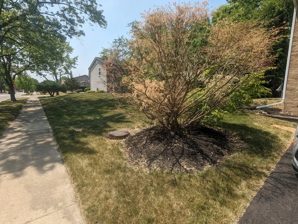 Affordable residential landscaping in Joliet, IL - Nature Life Landscaping
