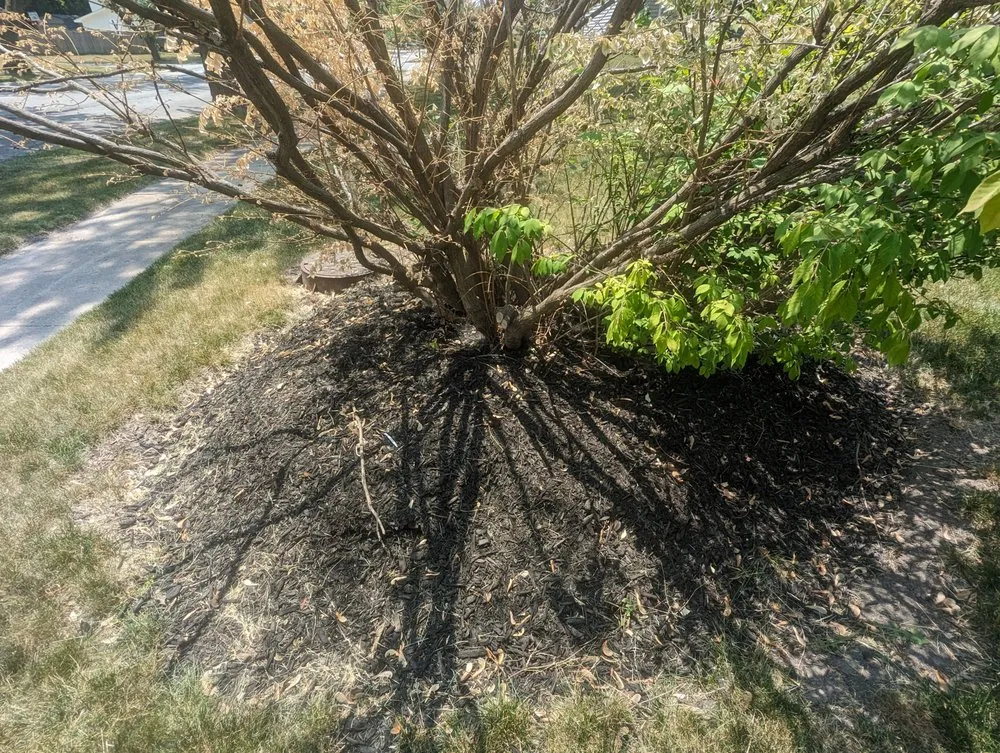 Reliable outdoor landscaping near you in Joliet, IL by Nature Life Landscaping