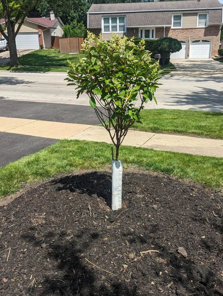 Expert lawn mowing service in Joliet, IL - Nature Life Landscaping