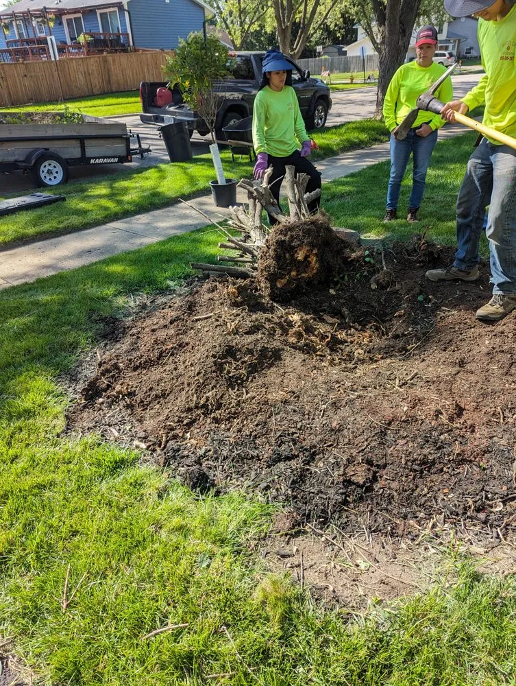 Professional outdoor landscaping in Joliet, IL - Nature Life Landscaping