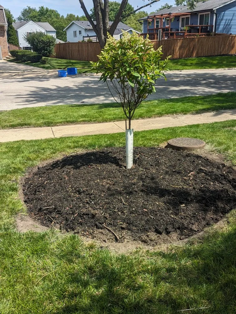 Trusted landscape design for outdoor upgrades across Joliet, IL - Nature Life Landscaping