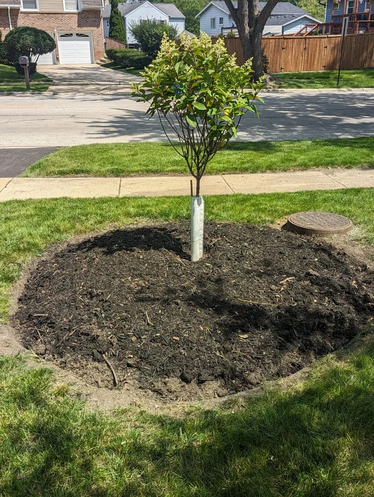 Expert residential landscaping in Joliet, IL by Nature Life Landscaping