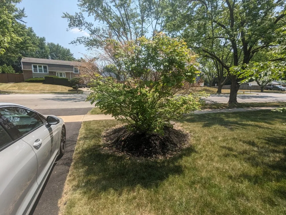 Professional lawn mowing service near you across Joliet, IL - Nature Life Landscaping