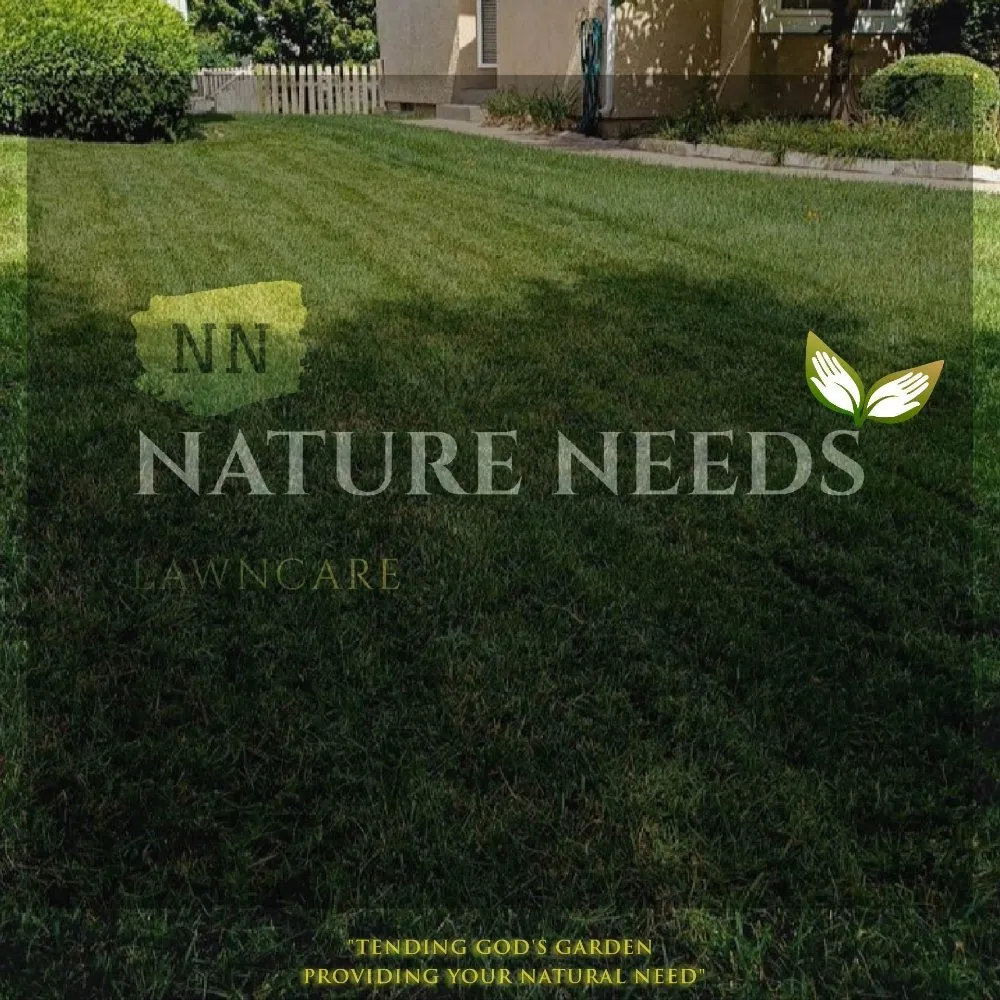 Affordable lawn mowing service near you across Kansas City, KS - Nature Needs LawnCare
