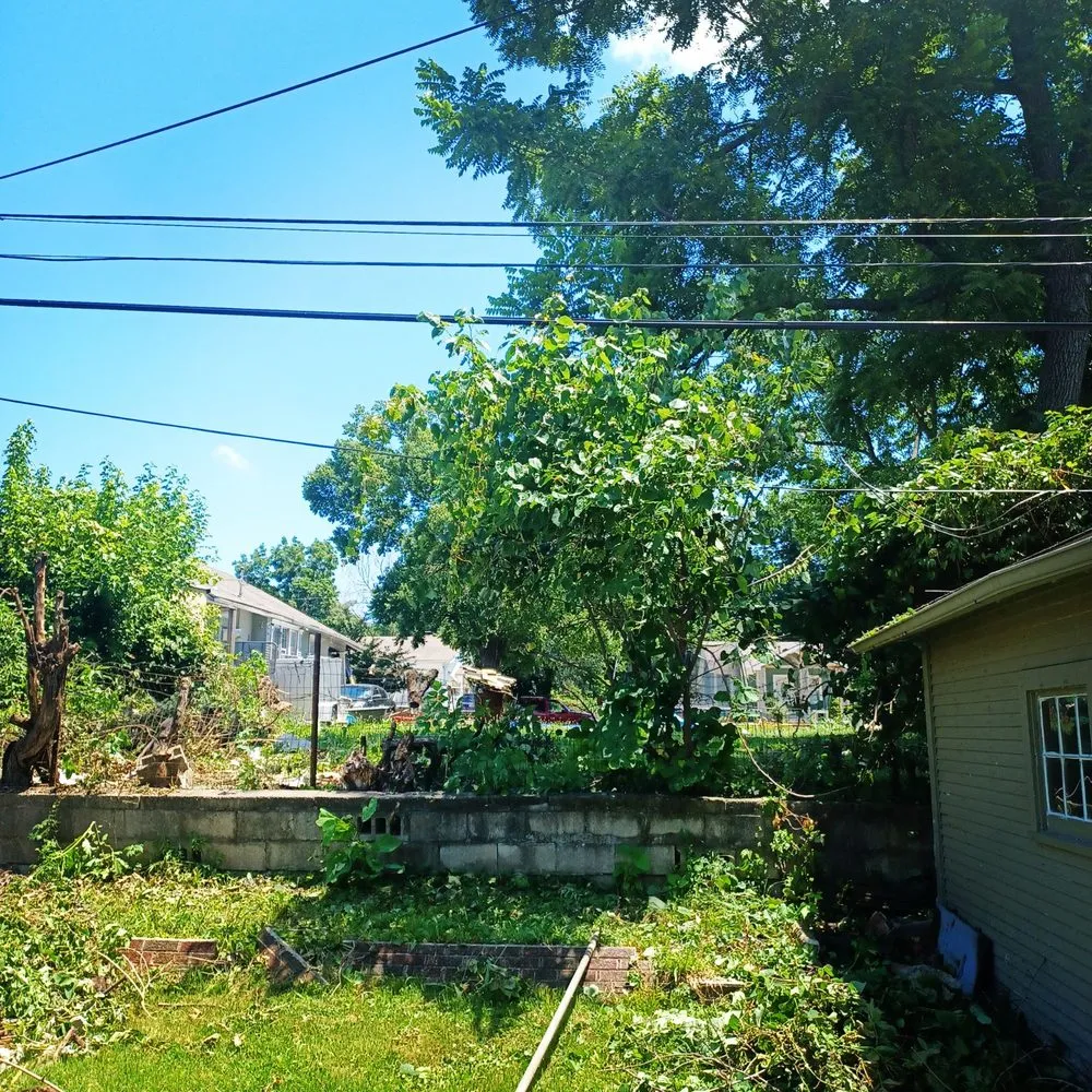 Top-rated outdoor landscaping experts serving Kansas City, KS - Nature Needs LawnCare