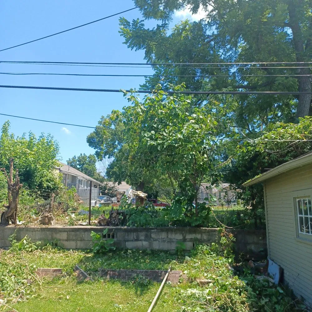 Trusted residential landscaping experts serving Kansas City, KS - Nature Needs LawnCare