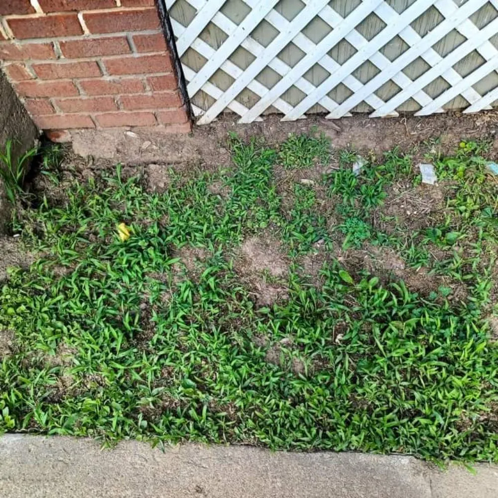 Trusted outdoor landscaping for outdoor upgrades across Kansas City, KS - Nature Needs LawnCare