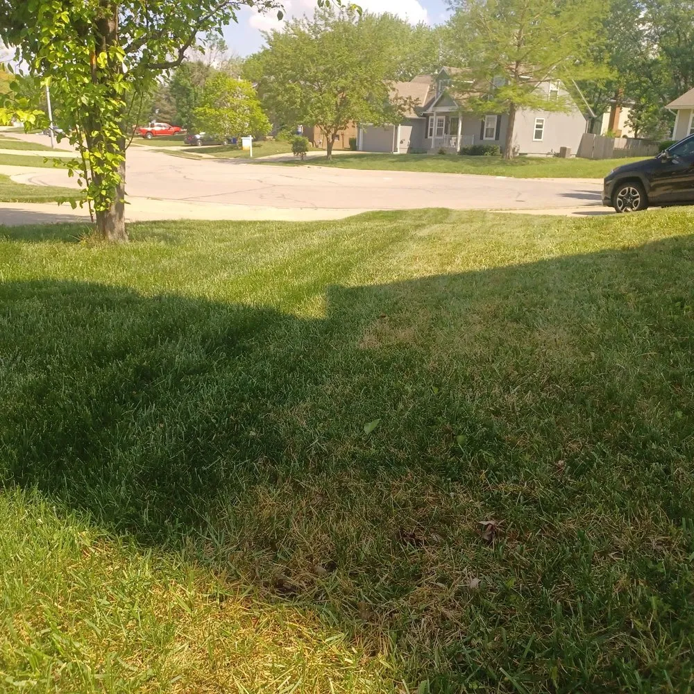 Top-rated yard maintenance for beautiful yards across Kansas City, KS - Nature Needs LawnCare