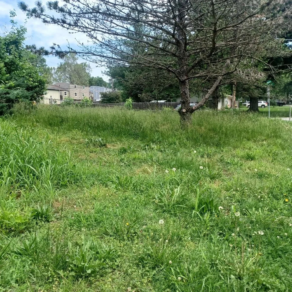 Local landscape installation in Kansas City, KS - Nature Needs LawnCare