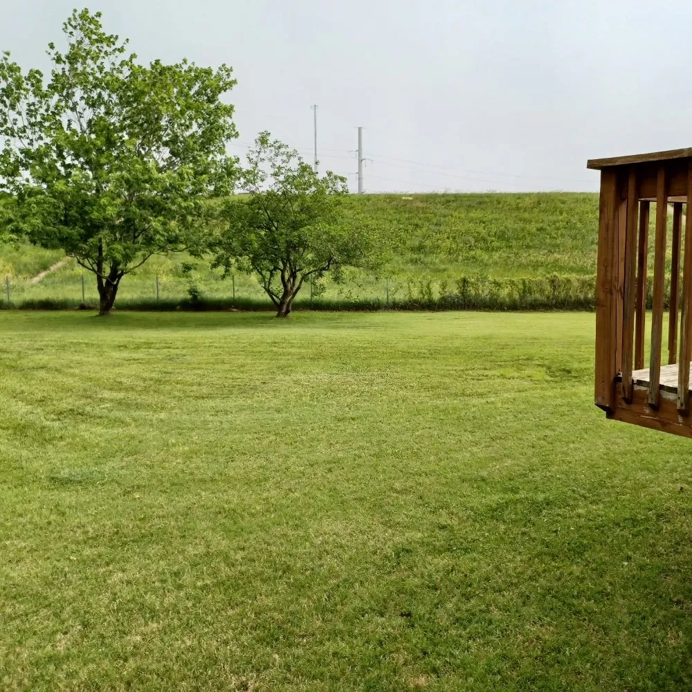 Trusted yard maintenance for year-round maintenance in Kansas City, KS by Nature Needs LawnCare