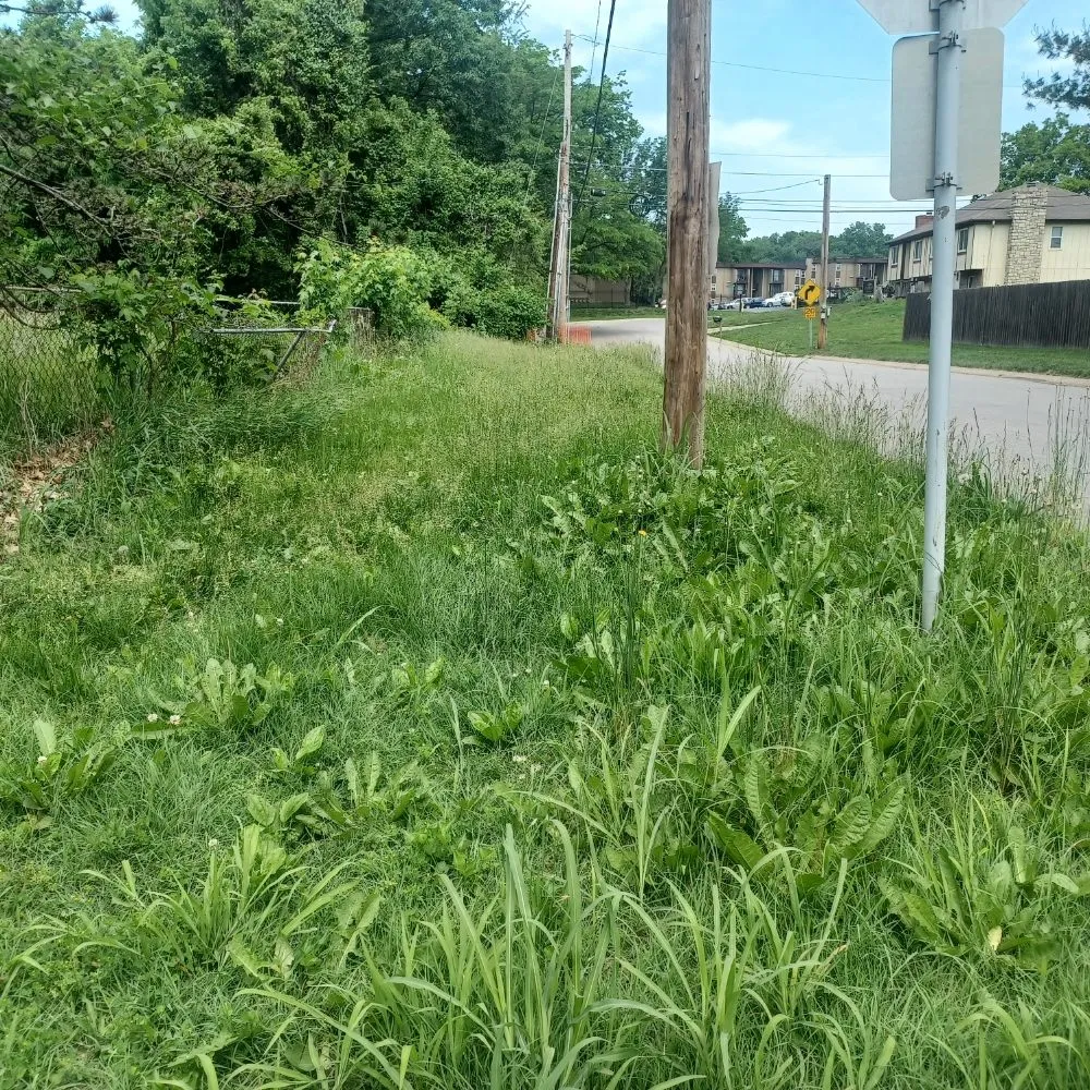 Custom lawn mowing service for homes across Kansas City, KS - Nature Needs LawnCare