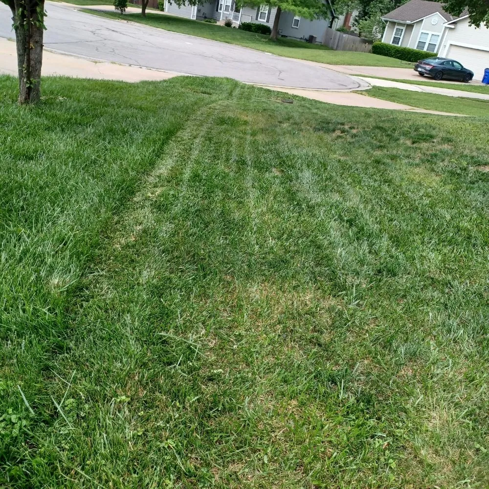 Custom landscaping services for beautiful yards across Kansas City, KS - Nature Needs LawnCare