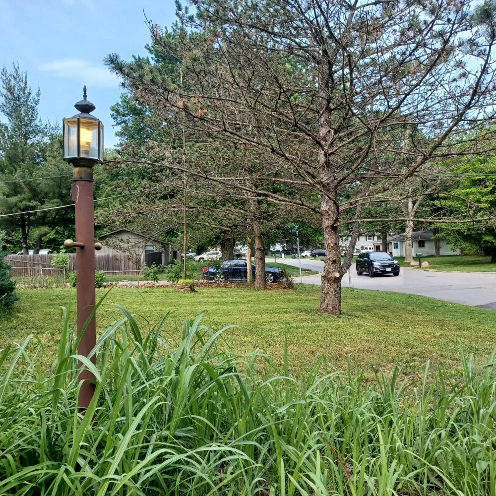 Trusted lawn care service in Kansas City, KS - Nature Needs LawnCare