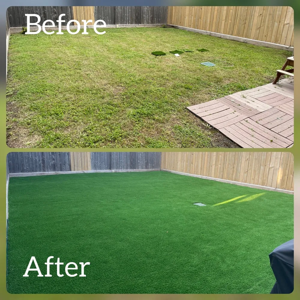 Top-rated yard cleanup service in Houston, TX - Nature Neighbor