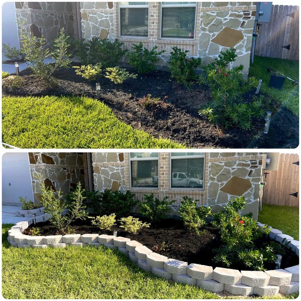 Reliable landscape installation for year-round maintenance across Houston, TX - Nature Neighbor