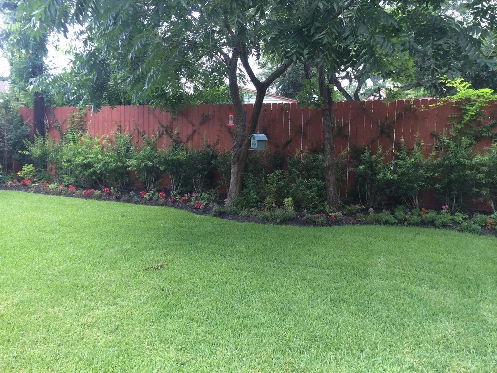 Reliable yard cleanup service experts serving Tomball, TX - Nature One
