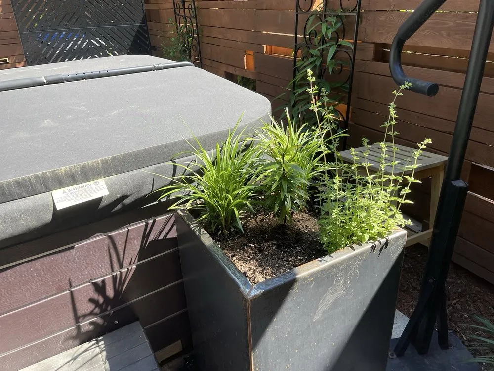 Expert landscape installation in Olympia, WA by Nature Perfect Landscape and Design