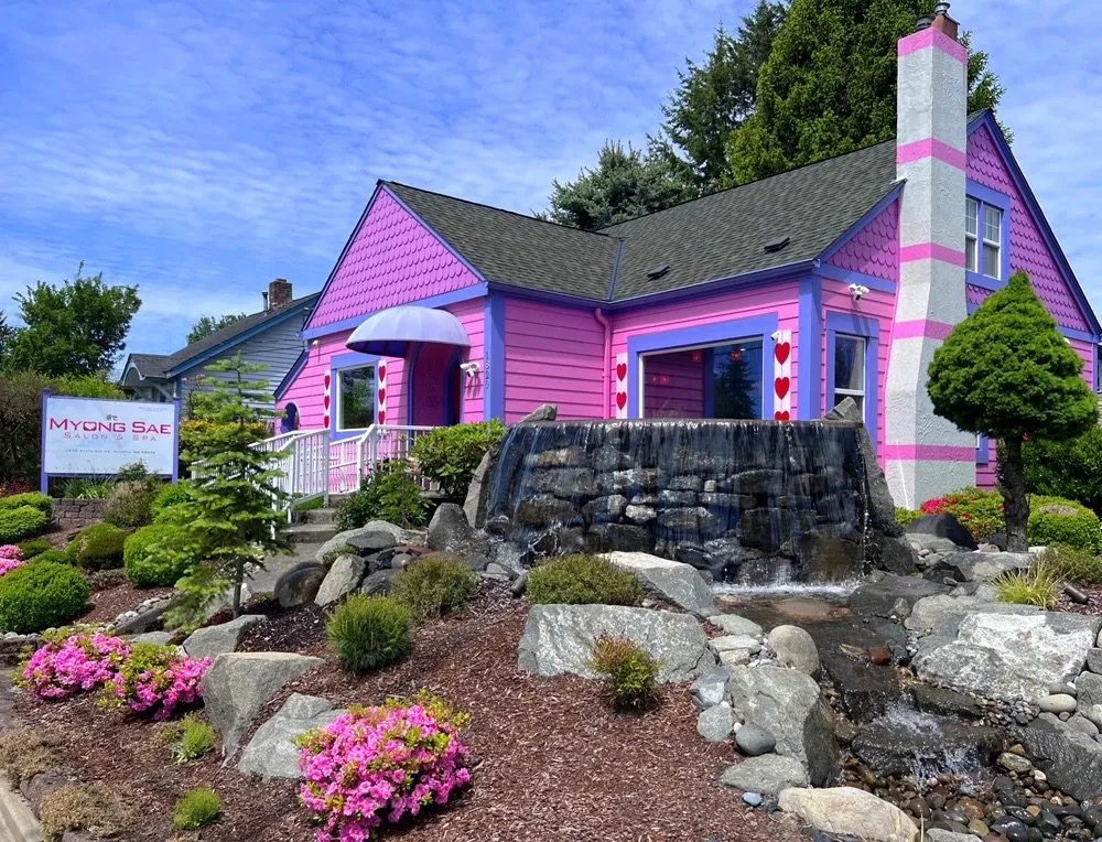 Expert yard cleanup service in Olympia, WA - Nature Perfect Landscape and Design