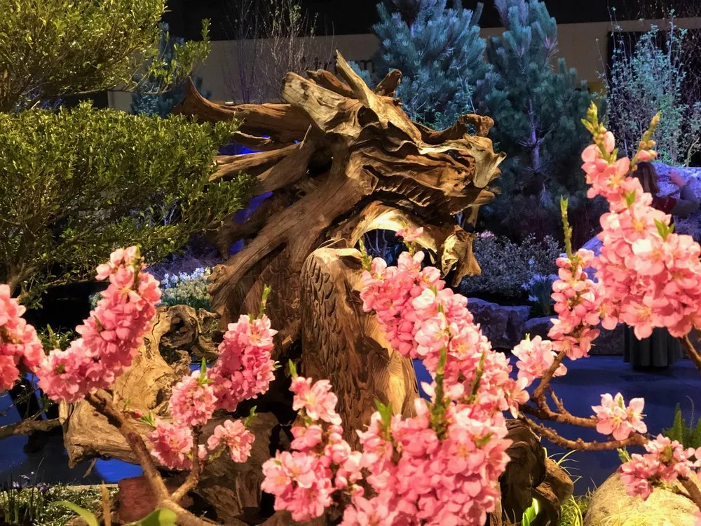 Top-rated yard maintenance for homes in Olympia, WA by Nature Perfect Landscape and Design