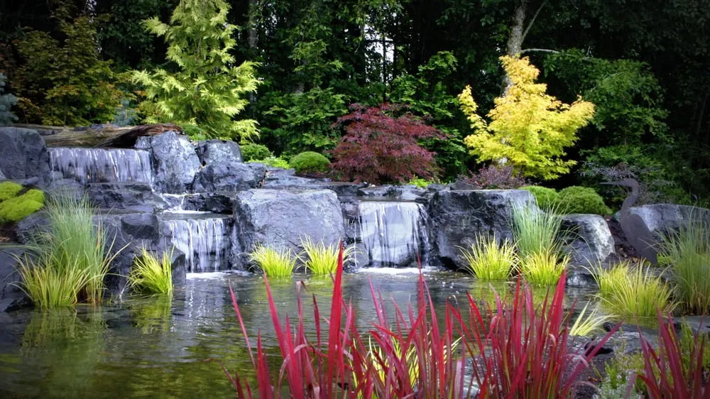 Expert residential landscaping experts serving Olympia, WA - Nature Perfect Landscape and Design