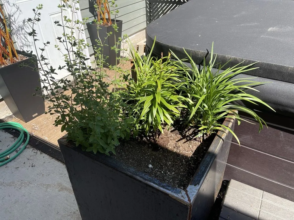 Expert garden landscaping near you in Olympia, WA by Nature Perfect Landscape and Design