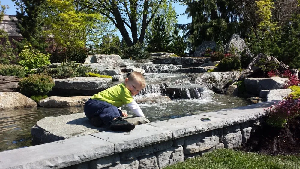 Local lawn care service for residential properties in Olympia, WA by Nature Perfect Landscape and Design