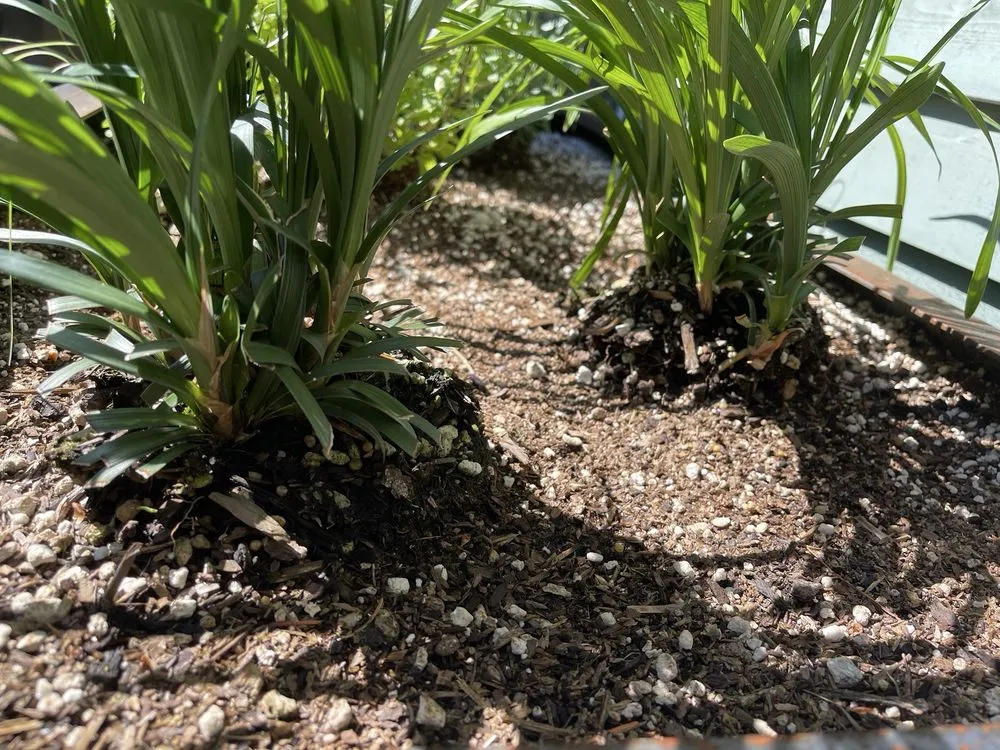 Professional garden landscaping experts serving Olympia, WA - Nature Perfect Landscape and Design