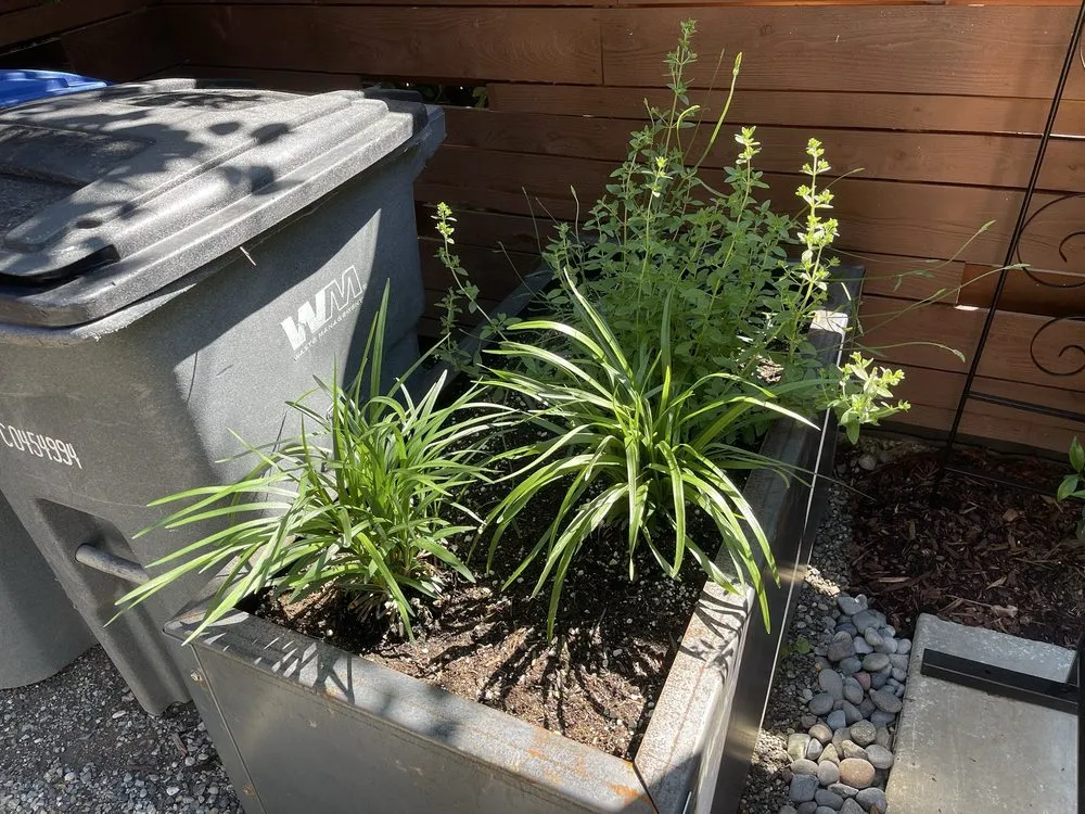 Expert landscape installation for homes across Olympia, WA - Nature Perfect Landscape and Design