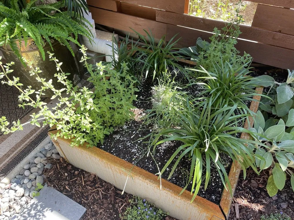 Affordable yard cleanup service in Olympia, WA by Nature Perfect Landscape and Design