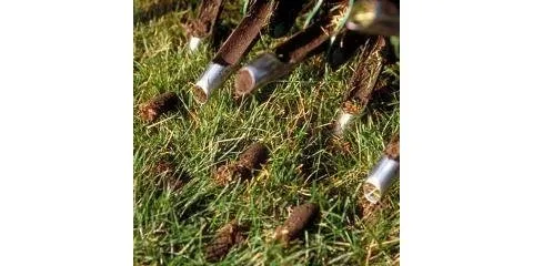 Top-rated residential landscaping in Cincinnati, OH - Nature Plus Lawn & Irragation