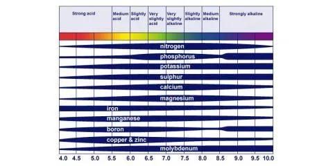 Custom landscape design in Cincinnati, OH by Nature Plus Lawn & Irragation