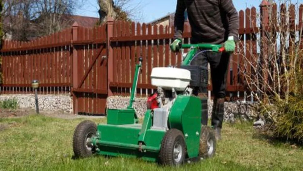 Custom yard maintenance experts serving Cincinnati, OH - Nature Plus Lawn & Irragation